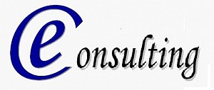 E-Consulting