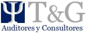 T&G Auditores y Consultores