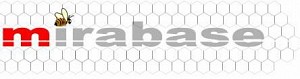 Mirabase S.A.