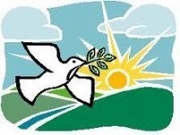 Asociación Nueva Vida