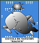 Escuela de Natacion Magnum