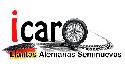 Llantera Icaro