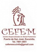 CEFEM