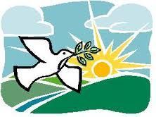 Asociación Nueva Vida