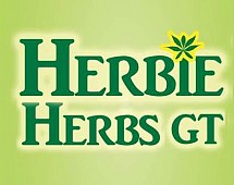 Herbie Herbs GT