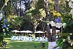 Jardin Los Lirios