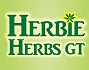 Herbie Herbs GT