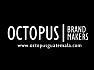 Octopus Guatemala