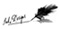 Ink Designs