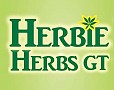 Herbie Herbs GT
