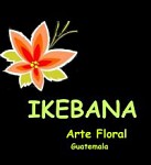 Floristeria Arte floral Ikebana