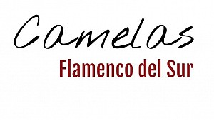 Camelas Flamenco / Workshops y Master Class
