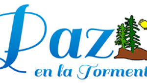 FESTIVAL DE BARRILETES GIGANTES