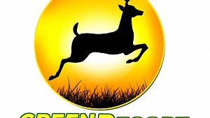 Green Resort, Feria Titular